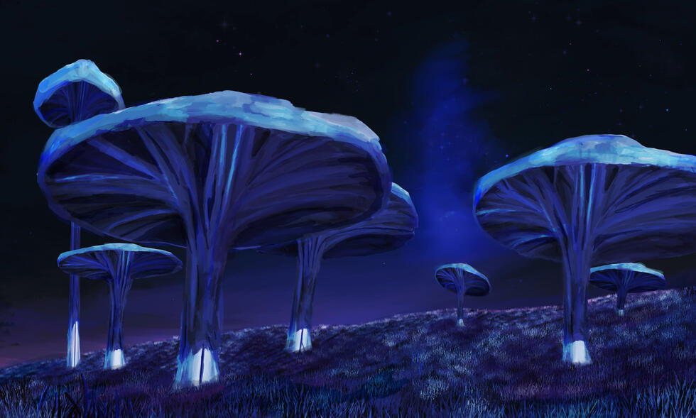 Mushroom Forest - Enviroment Design