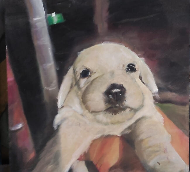 Little Puppy